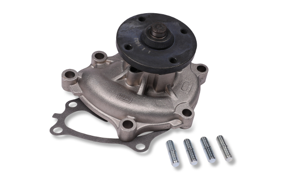 HEPU P7742 Water Pump,...